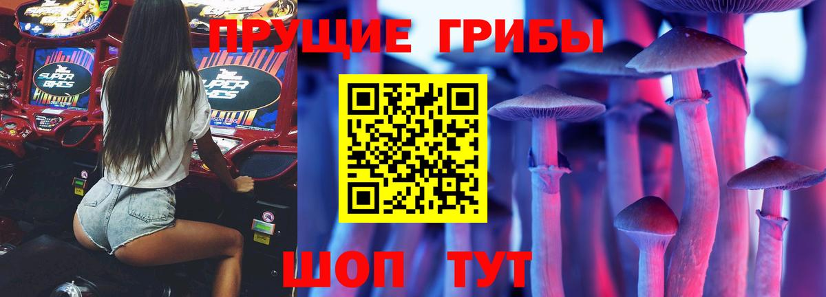 Псилоцибиновые грибы прущие грибы  Вход с VPN  Минусинск 